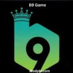 B9 game